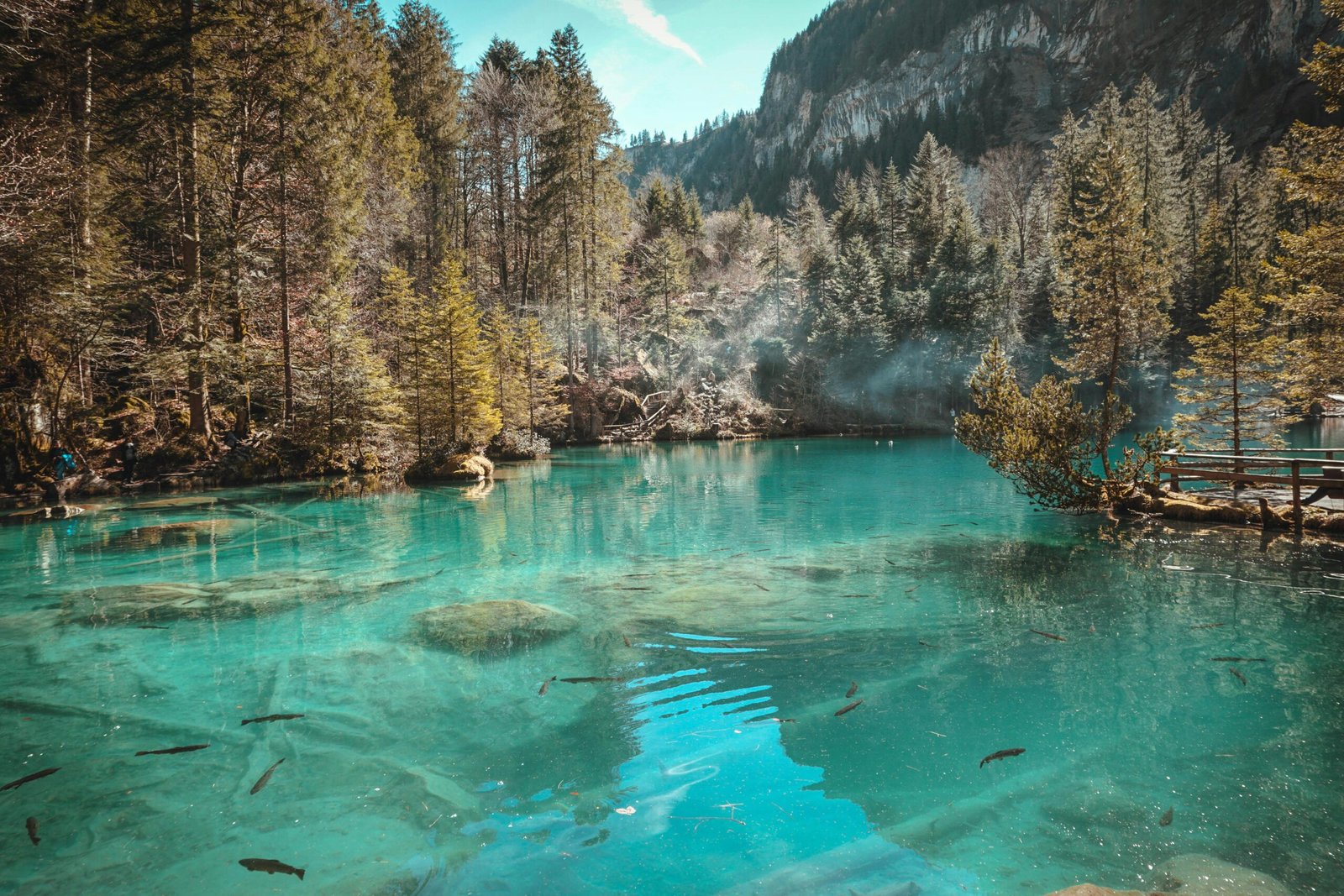 pexels-rfera-2286895